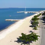 Palma