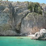 Palma *