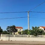 Palma * فرسي