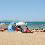 Palma فرسي