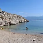 Palma * فرسي