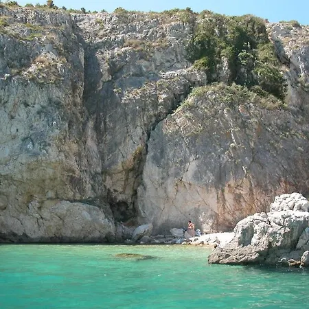 Palma *