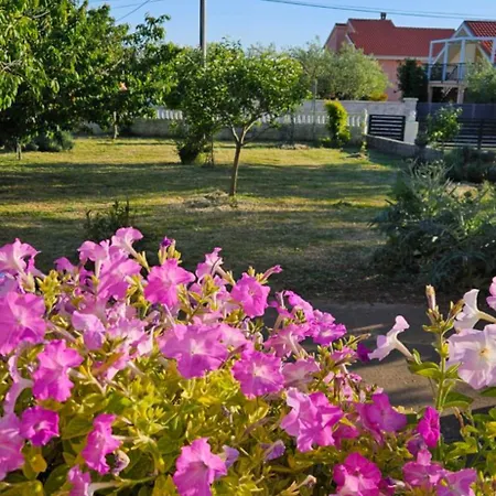 Palma דירה