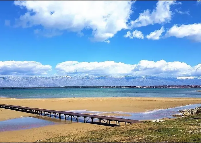 Palma