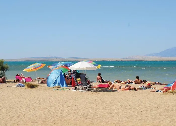Palma Vrsi