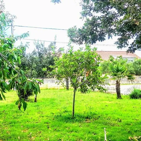 Apartman Palma *