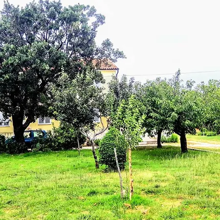 Apartman Palma